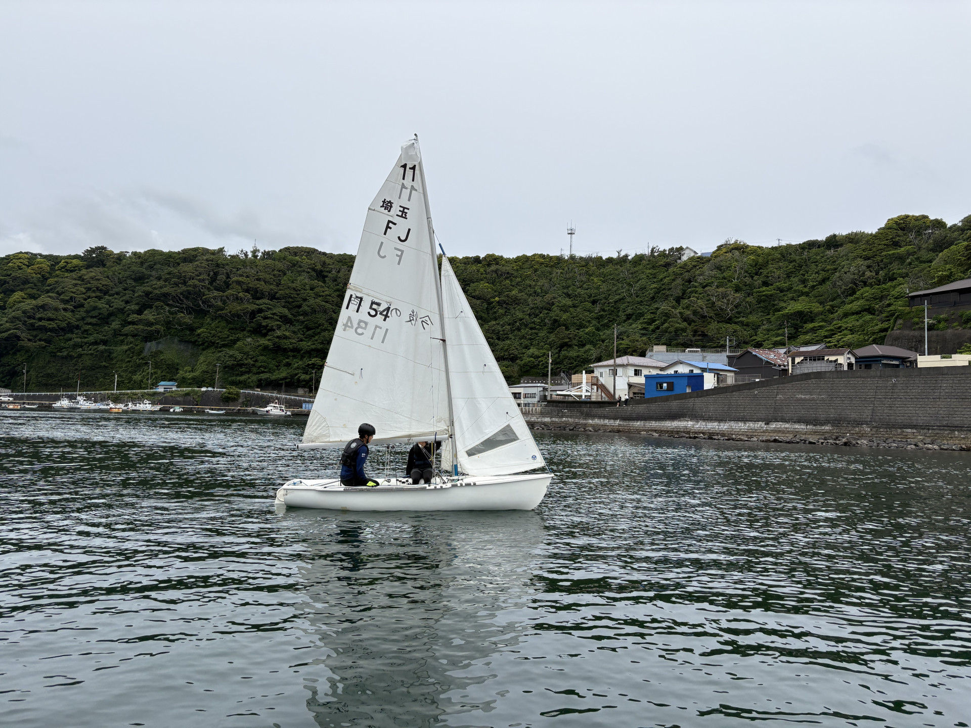 画像 -20250529-060126-27f39fa8